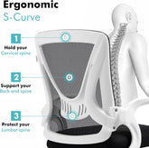 Blisswood Office Chair Desk Chair, Ergonomic Adjustable Office Mesh Chair for Ho